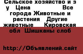 Сельское хозяйство и з/у › Цена ­ 2 500 000 - Все города Животные и растения » Другие животные   . Кировская обл.,Шишканы слоб.